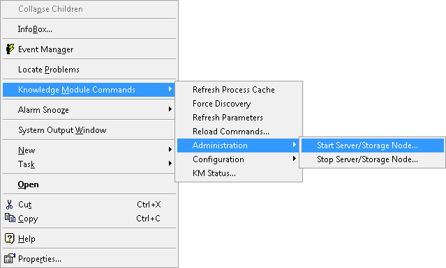 Starting the Server/Storage Node